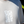 Shapeshifter x ANGVS T-shirt - Bone